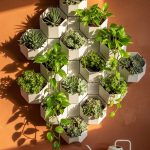 10 Beautiful and Inspiring Home Garden Ideas